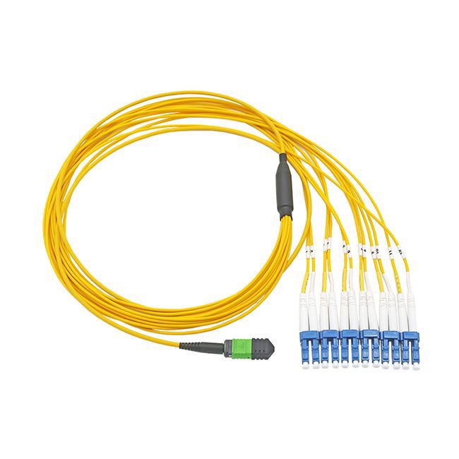 2m MTP DX 12 Serat Kabel SMF