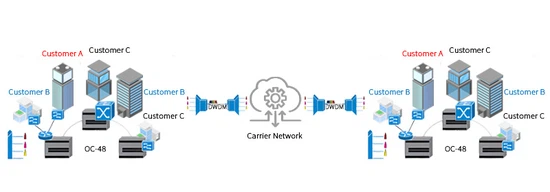 DWDM in carrier networks DWDM in carrier networks